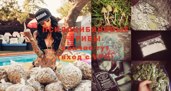 прущая мука Алзамай