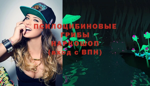 метамфетамин Алексин