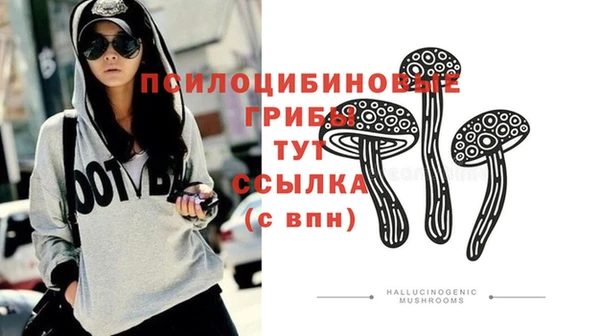 прущая мука Алзамай