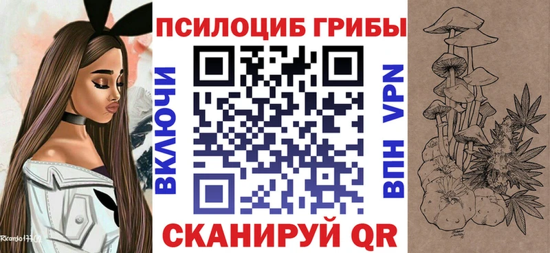 наркота мориарти телеграм Галлюциногенные грибы Psilocybine cubensis Липки hydra рабочий сайт
